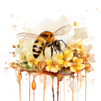 vattenfärg honung bi i sommar tid png