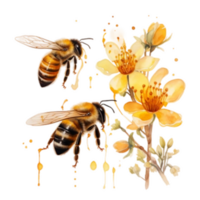 vattenfärg honung bi i sommar tid png
