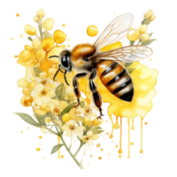 acuarela miel abeja en verano hora png