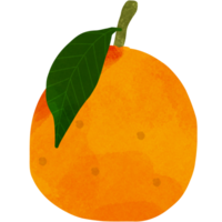 Orange Obst mit Blatt png