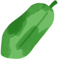 groen papaja Aan een wit achtergrond png