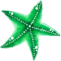 A green starfish illustration png