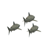 swimming shark illustration png