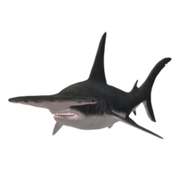 swimming shark illustration png