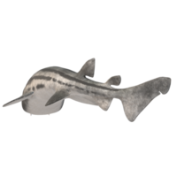 swimming shark illustration png