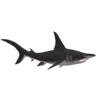 swimming shark illustration png