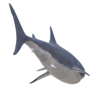 natação Tubarão ilustração png