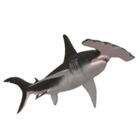 swimming shark illustration png