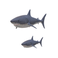 swimming shark illustration png