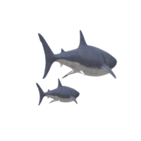 swimming shark illustration png