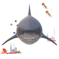 swimming shark illustration png