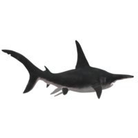swimming shark illustration png