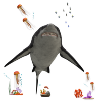 nager requin illustration png