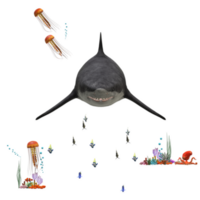 swimming shark illustration png