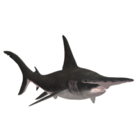 swimming shark illustration png