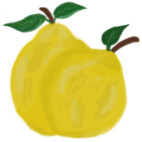 Lemon yellow so cute for you png