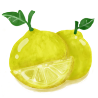 Lemon yellow so cute for you png