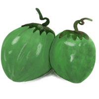 vert noix de coco Frais png