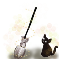 Witch broom and black cat png