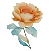 vintage flora clipart,generative ai png