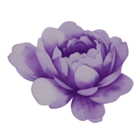 vintage flora clipart,generative ai png