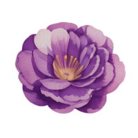 vintage flora clipart,generative ai png