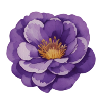 vintage flora clipart,generative ai png