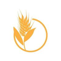 Wheat Logo, Simple Farmer Garden Design, Vector Template Silhouette Illustration