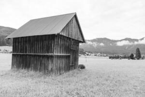 in the austrian alps photo