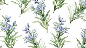 Seamless pattern of Rosemary flower in watercolor style isolated on white background. Rosemary flower texture background. Generative AI photo
