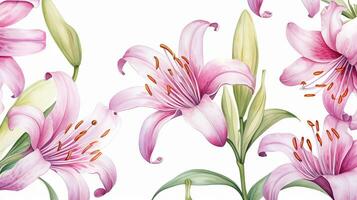 Seamless pattern of Fairy Lily flower in watercolor style isolated on white background. Fairy Lily flower texture background. Generative AI photo