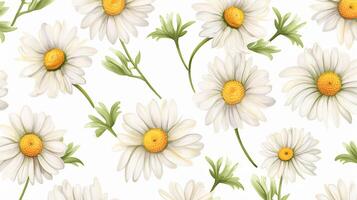 Seamless pattern of Daisy flower in watercolor style isolated on white background. Daisy flower texture background. Generative AI photo