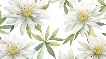 Seamless pattern of Edelweiss flower in watercolor style isolated on white background. Edelweiss flower texture background. Generative AI photo