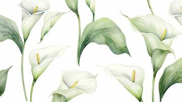 Seamless pattern of Calla Lily flower in watercolor style isolated on white background. Calla Lily flower texture background. Generative AI photo