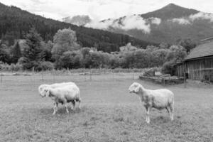 verano hora en Austria foto