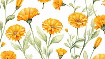 Seamless pattern of Calendula flower in watercolor style isolated on white background. Calendula flower texture background. Generative AI photo