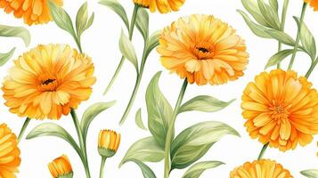 Seamless pattern of Calendula flower in watercolor style isolated on white background. Calendula flower texture background. Generative AI photo