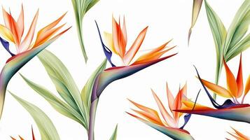 sin costura modelo de pájaro de paraíso flor en acuarela estilo aislado en blanco antecedentes. pájaro de paraíso flor textura antecedentes. generativo ai foto