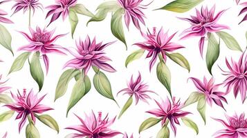 Seamless pattern of Bee Balm flower in watercolor style isolated on white background. Bee Balm flower texture background. Generative AI photo