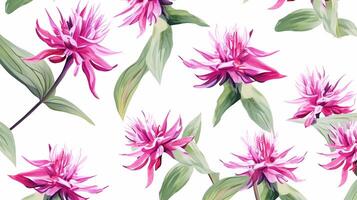 Seamless pattern of Bee Balm flower in watercolor style isolated on white background. Bee Balm flower texture background. Generative AI photo