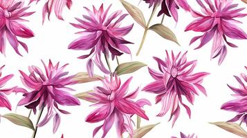 Seamless pattern of Bee Balm flower in watercolor style isolated on white background. Bee Balm flower texture background. Generative AI photo