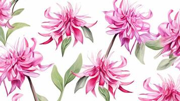 Seamless pattern of Bee Balm flower in watercolor style isolated on white background. Bee Balm flower texture background. Generative AI photo