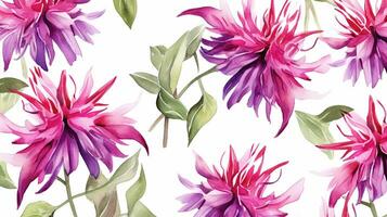 Seamless pattern of Bee Balm flower in watercolor style isolated on white background. Bee Balm flower texture background. Generative AI photo