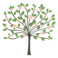 invisible arbre et fleurs png