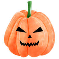 Set of fresh pumpkins for Halloween decorations png