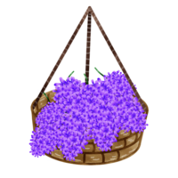 lila vin blommor png