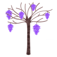 lila Ranke Blumen png