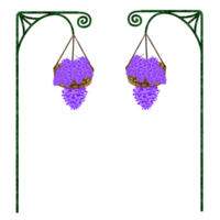 púrpura vino flores png