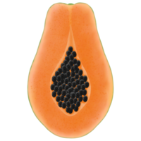Fresh organic papaya png