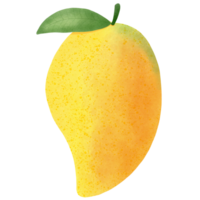 Organic yellow mango png